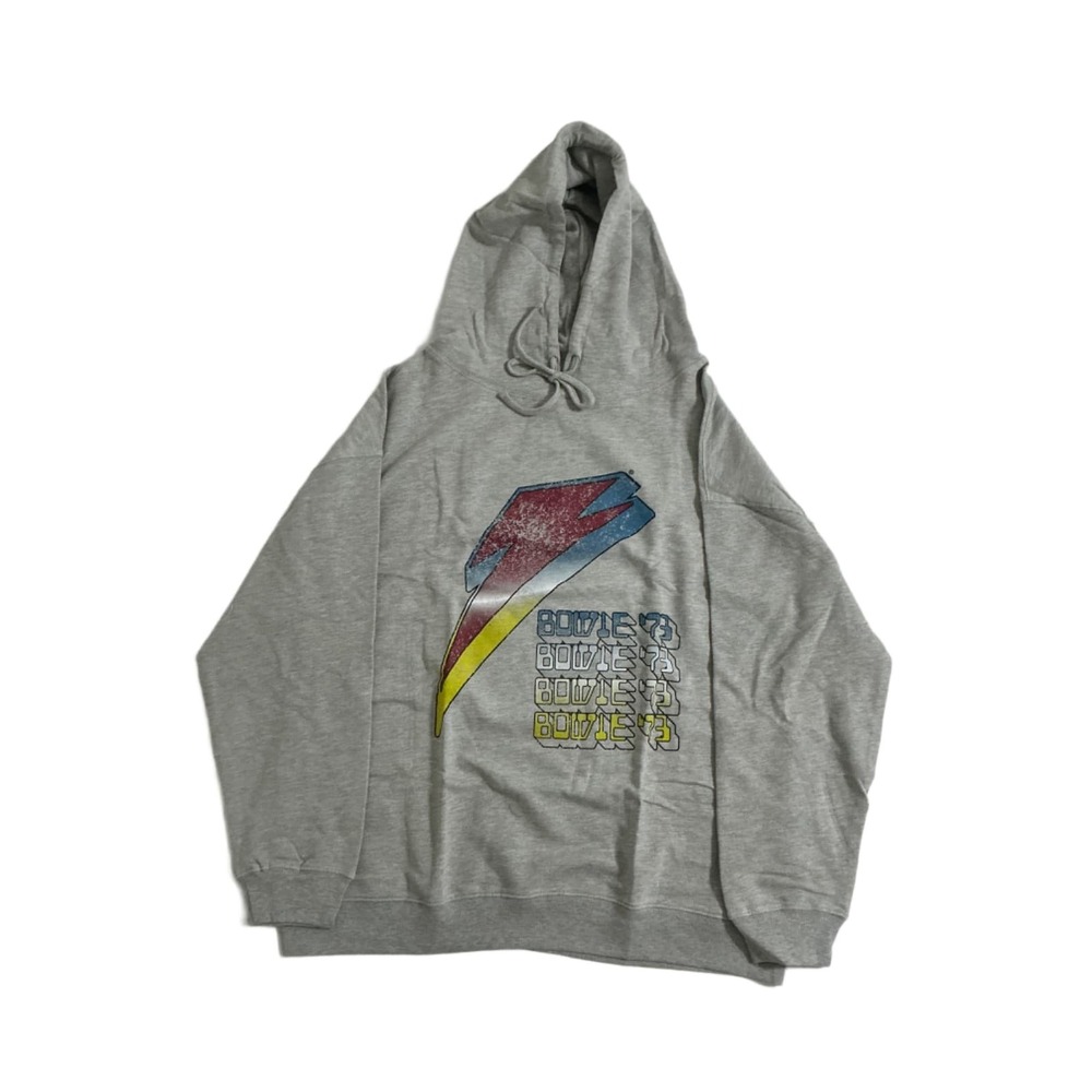 David Bowie '73 Lightning Bolt Hoodie Mens L Heather Grey Vintage Canvas Band